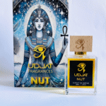 Untitled design (13)